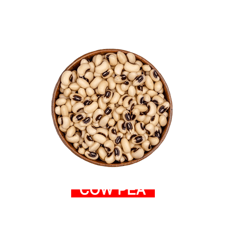 Cowpea