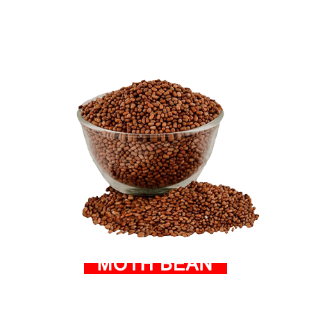 Mothbean