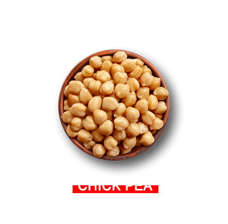 chickpea-exporters